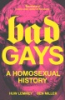 Bad gays by Lemmey, Huw