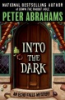 Into the dark by Abrahams, Peter