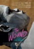 The_wound