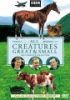 All creatures great & small, the complete series 1 collection 