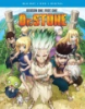 Dr. Stone by Artist Not Provided