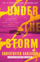 Under the Storm - Christoffer Carlsson