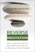 Reverse Meditation - Andrew Holecek